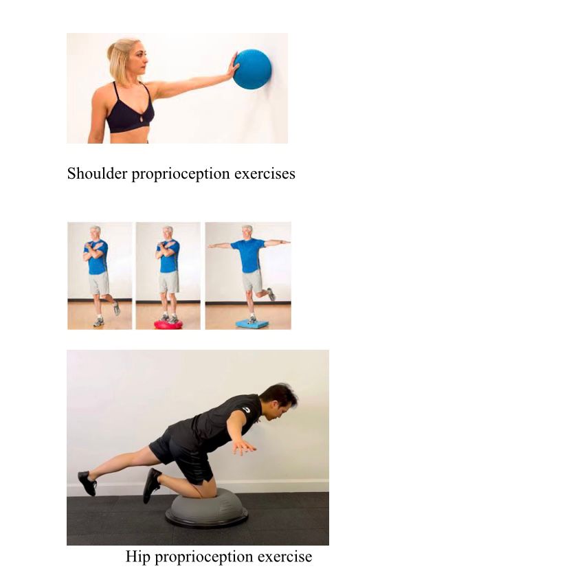  Why do we do proprioception exercises in rehab?