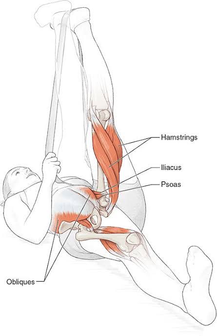 Stronger, Safer, Unstoppable: How Eccentric Training Prevents Injuries