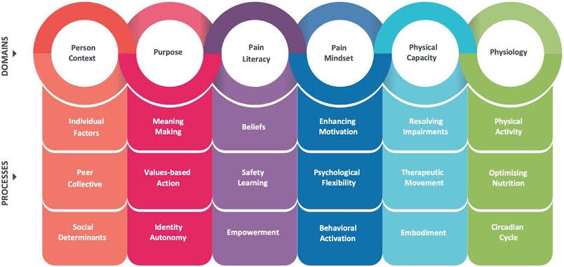 Decoding Pain: Why the PRISM Model Is a Game-Changer in Rehab